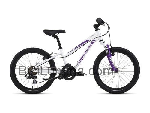 Specialized Hotrock 20 ficha técnica y opiniones